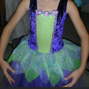 Gorgeous fairy princess ballet dress / costume Purple & Green. matching barrette
